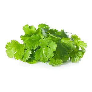 Coriander leaf
