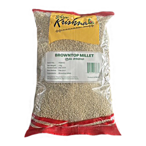 Browntop Millet