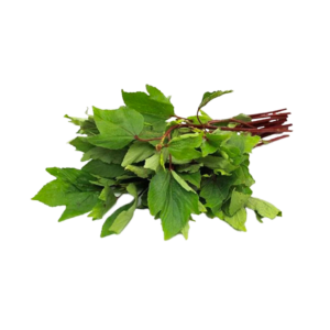 Gongura leaf